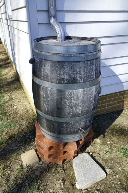 rain barrel dreamstime m 39561177 427x640