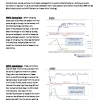 Choosing a Solar Controller - PWM vs MPPT